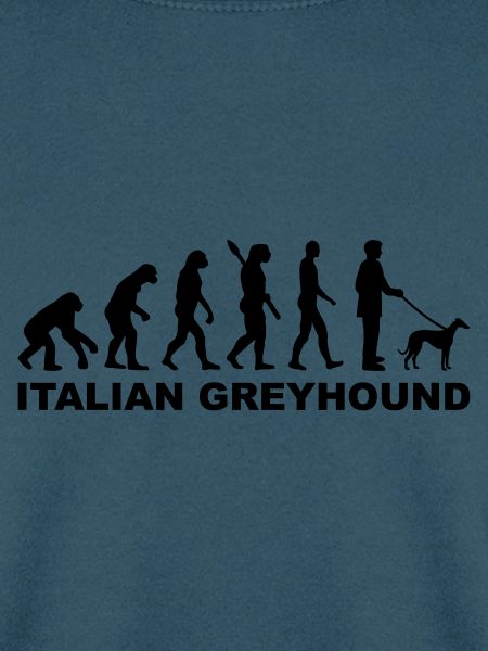 Italian Greyhound