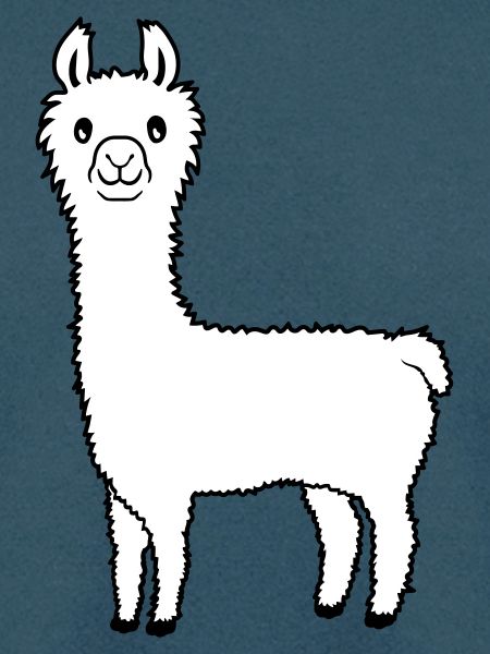 Lieblingstier Lama Alpaka