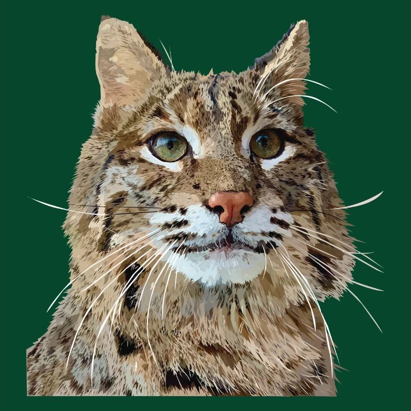 Lynx