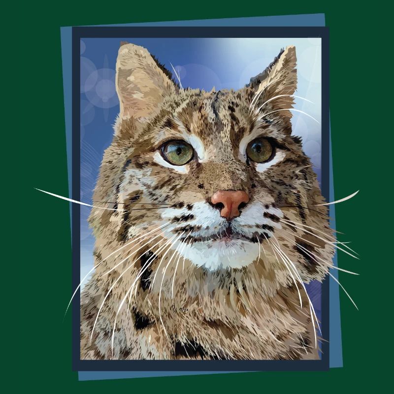 Lynx
