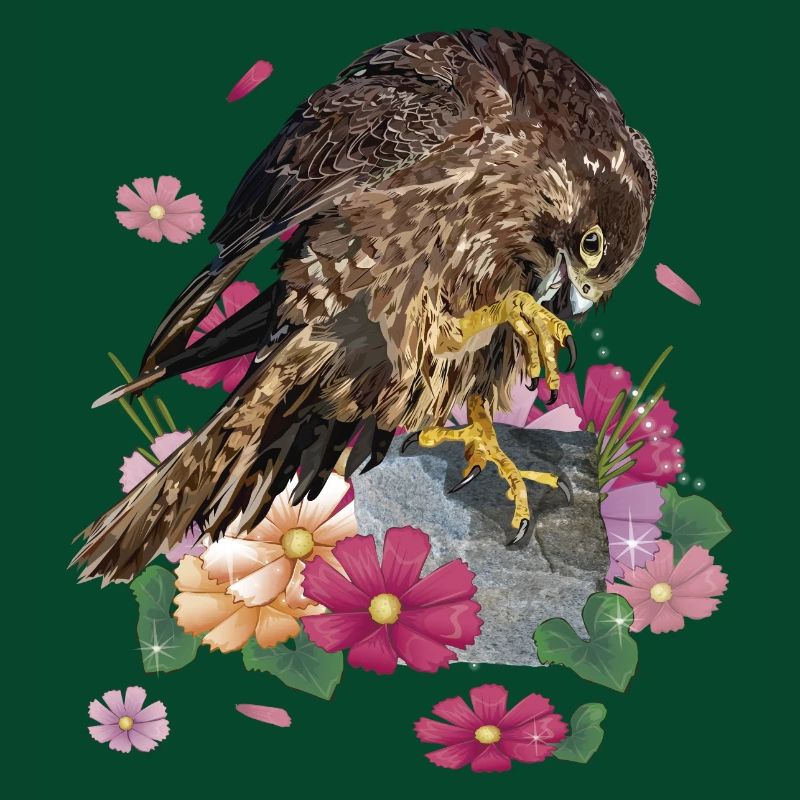Wanderfalken
