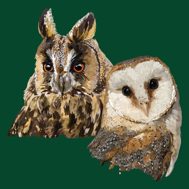Eule und Eule