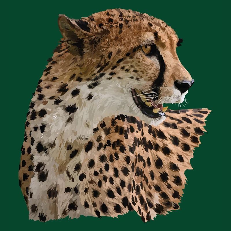 Gepard