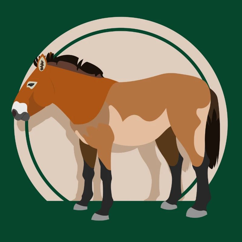przewalski horse 01
