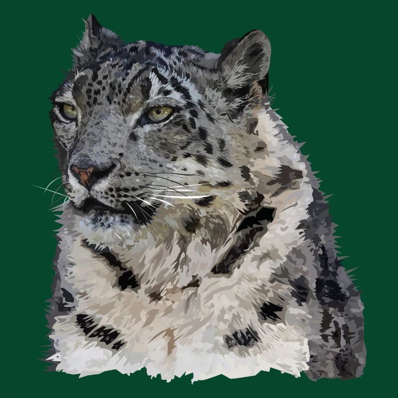 Snow leopard