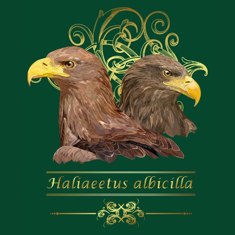 Europäischer Adler
