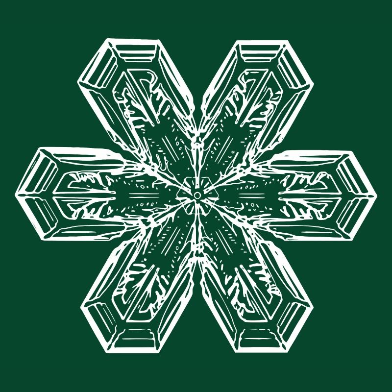 snowflake 1 white