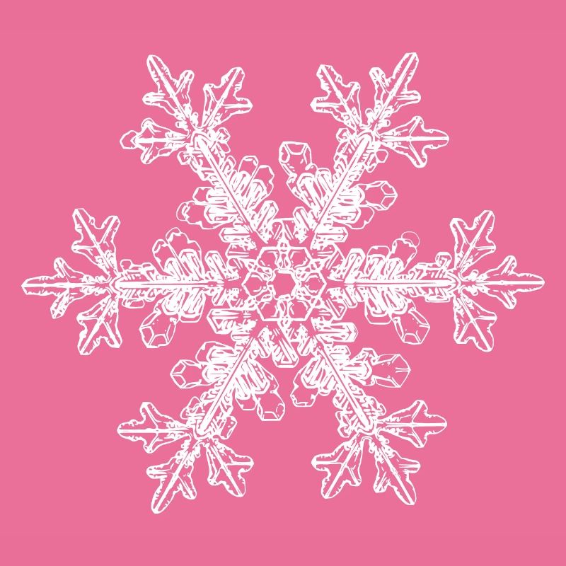 snowflake 7 white