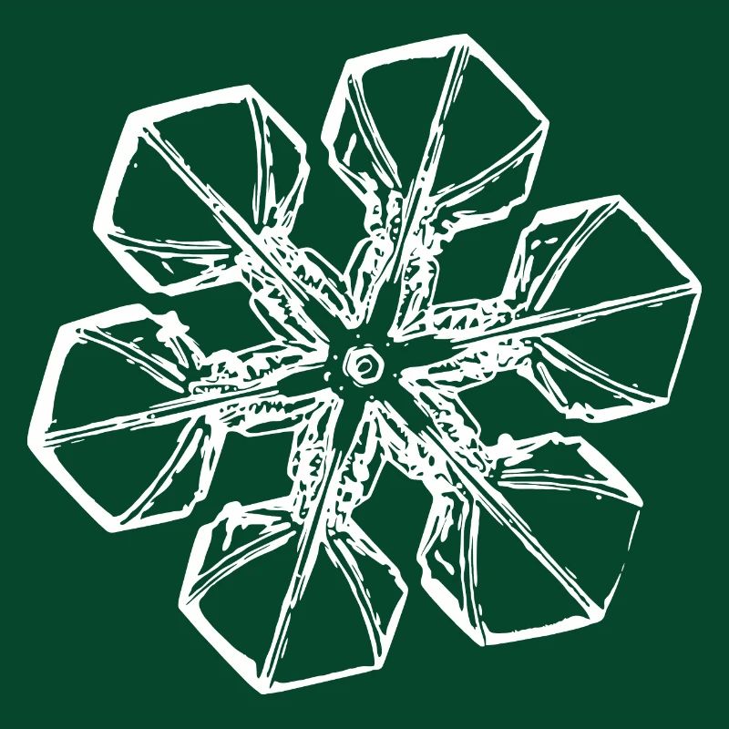 snowflake 2 white