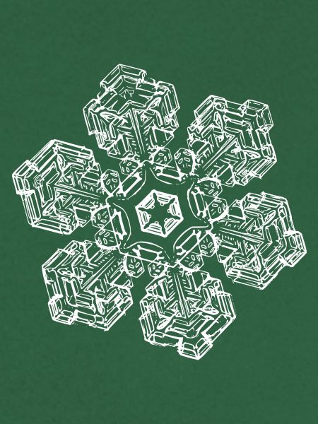 snowflake 10 white