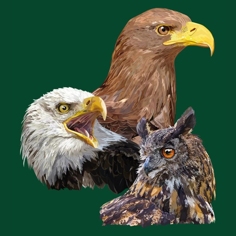 Pigargos und Eule