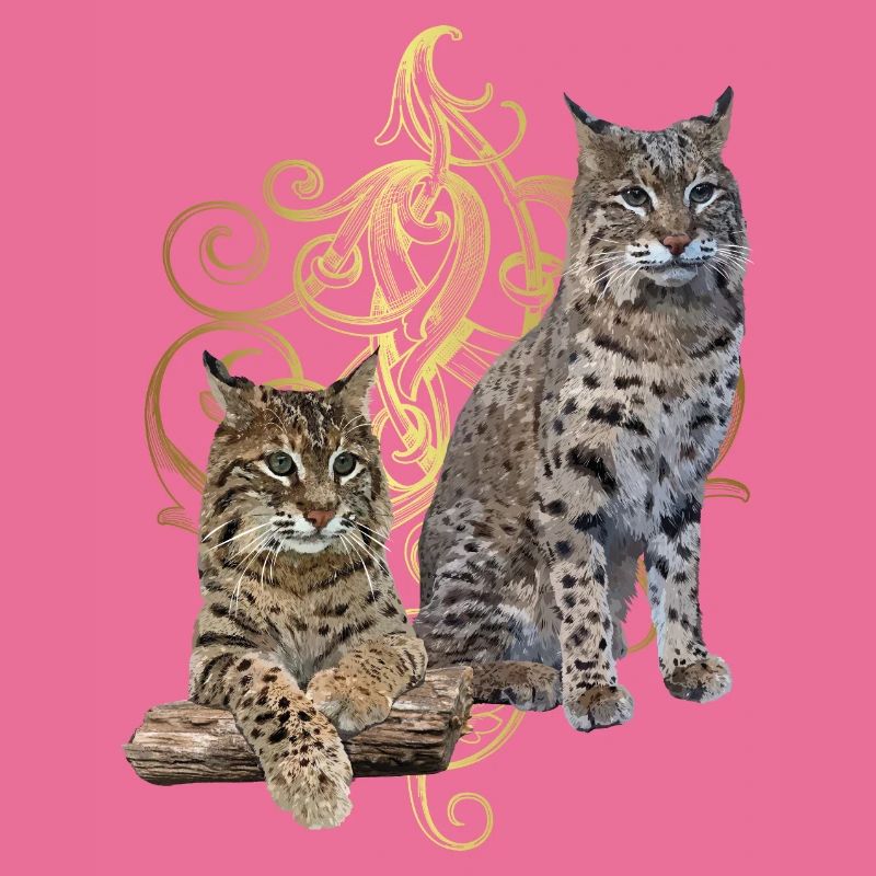 Luchs
