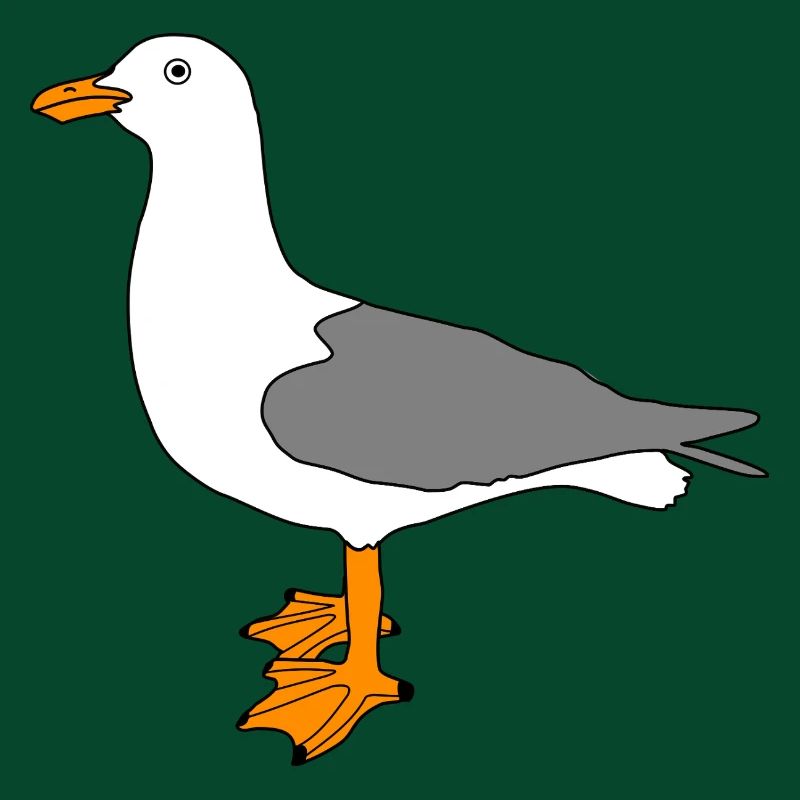 Möwe - Seemöwe