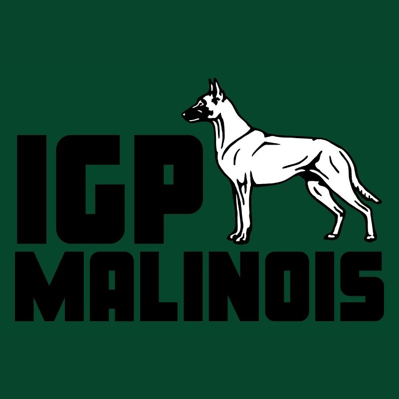 IGP / IPO Malinois
