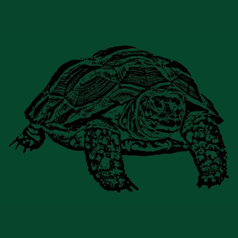 Schildkröte
