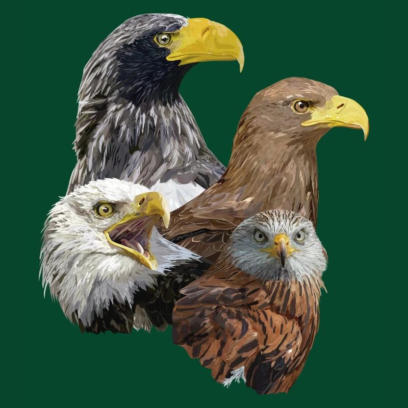Greifvogel