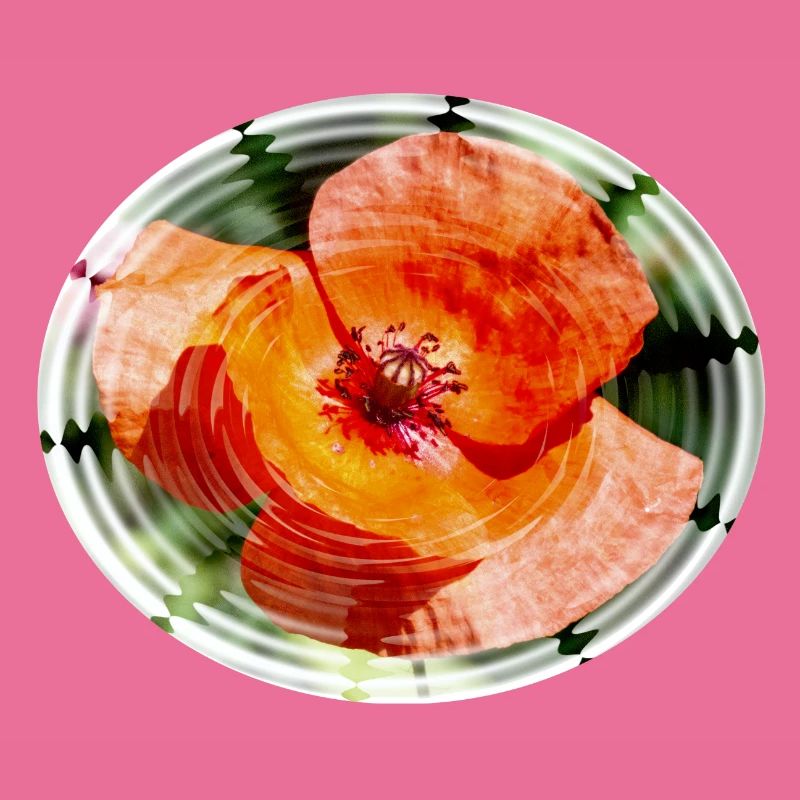 Mohnblüte