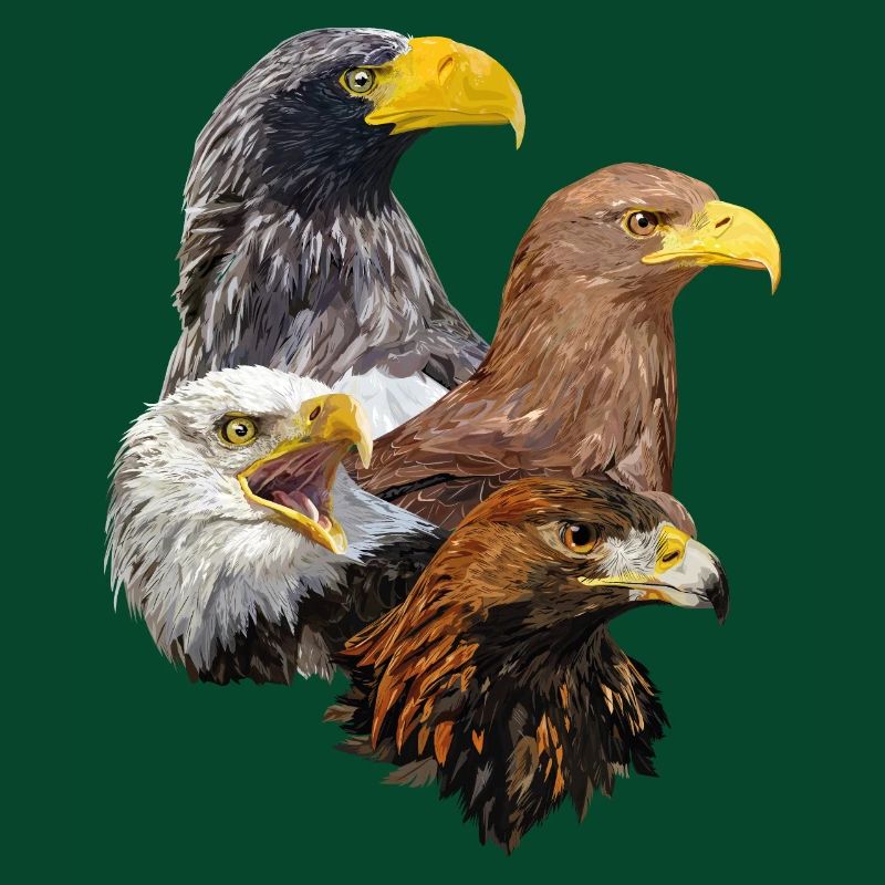 Raubvögel