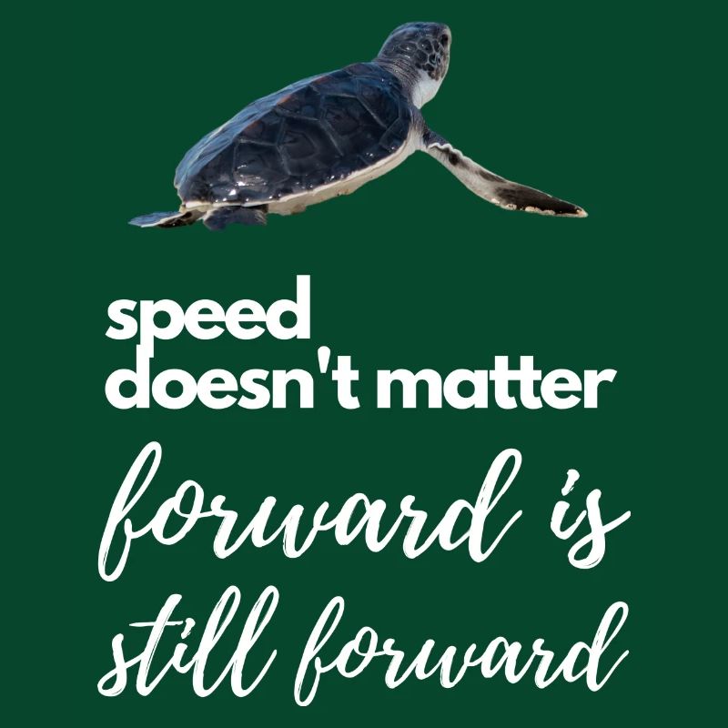 Turtle – Forward is still forward