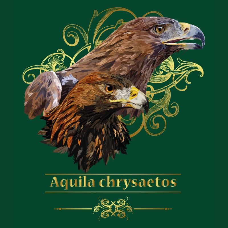Adler