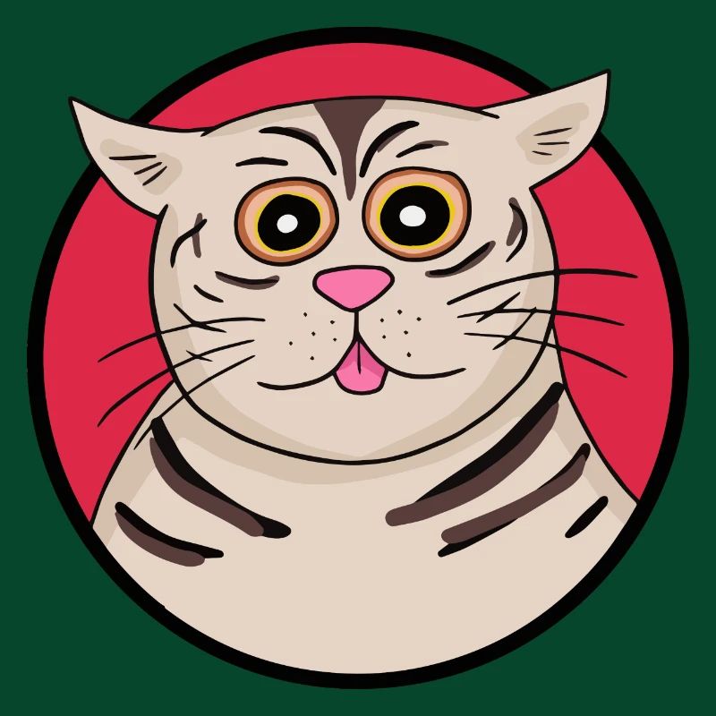 Strange cat