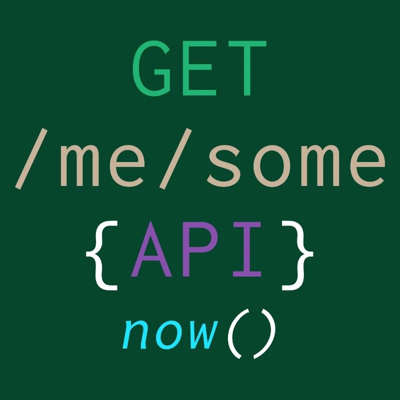 Api Programming Informatic Geschenk Spruch