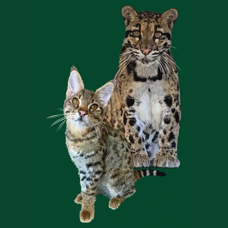 Clouded leopard and cat