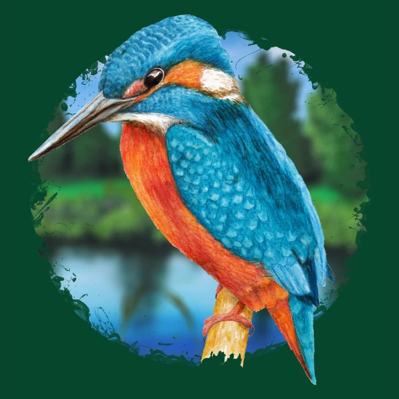 Eisvogel