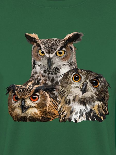 Nächtliche Raubvögel