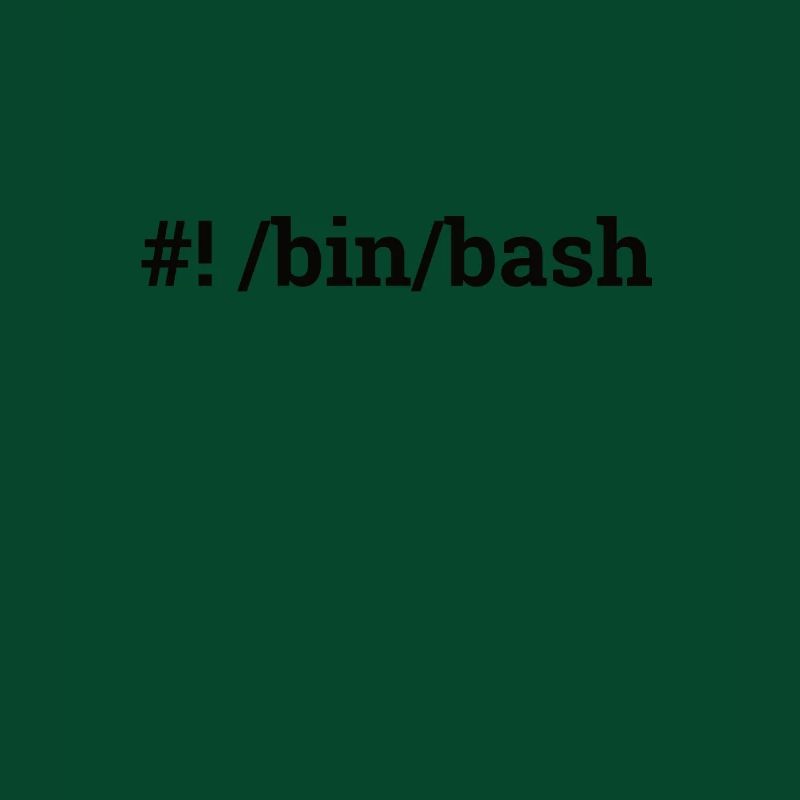 | "/bin/bash" Admin, Ciencias de la Computación