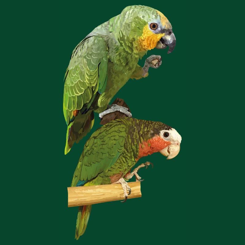 Papageien
