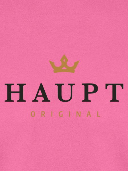 Haupt Original Familienlogo