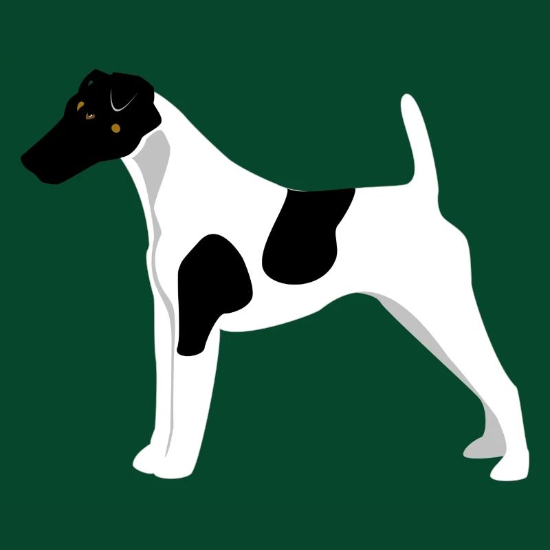 Fox Terrier Glattes Haar