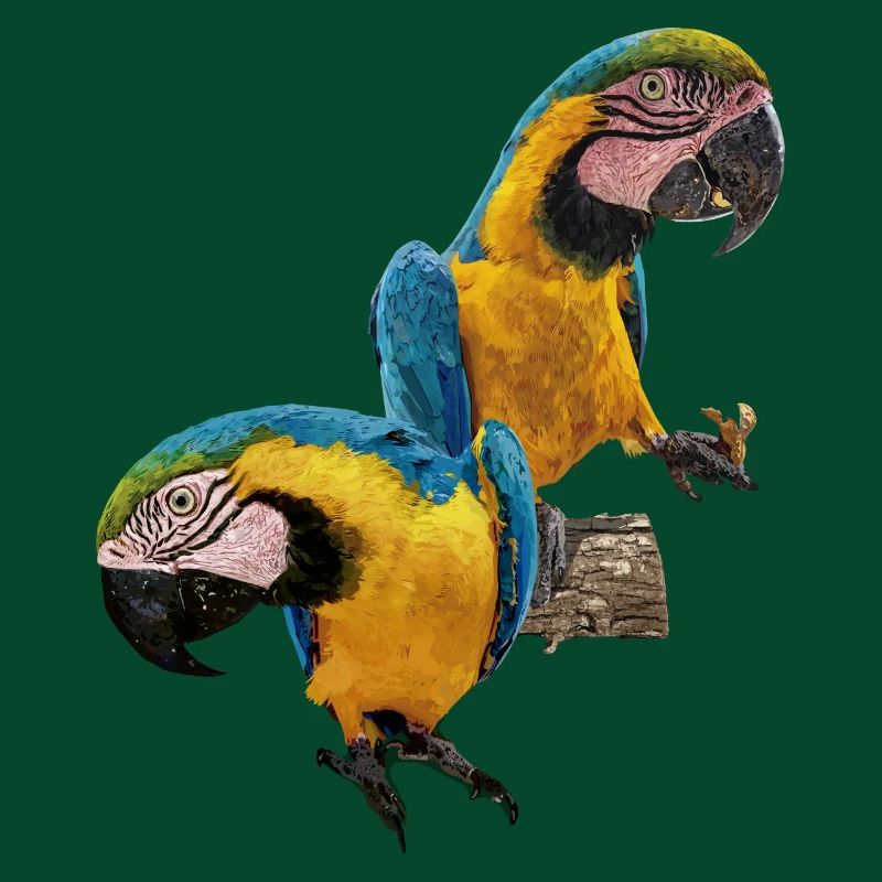 Der blau-gelbe Ara