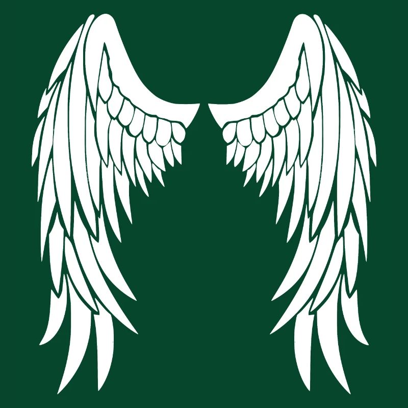 ailes d'anges