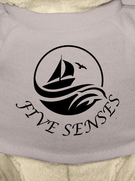 SY Five Senses