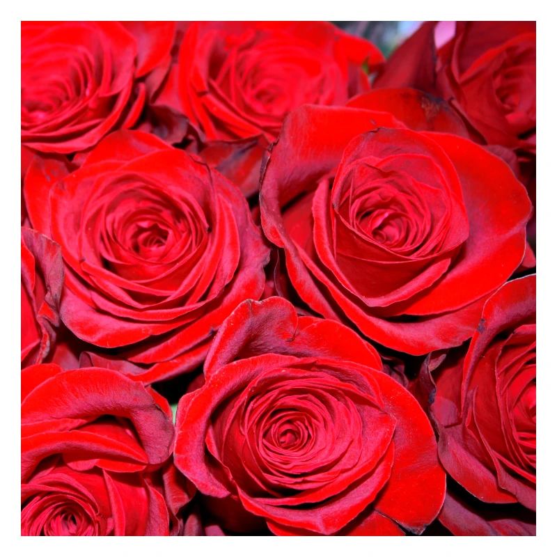 Phone cases with flower pattern