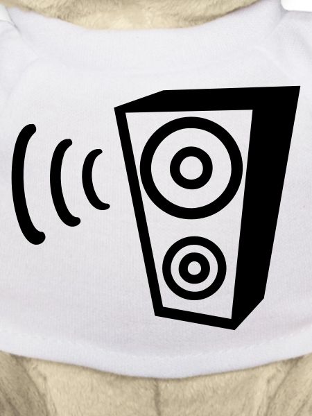 Speaker