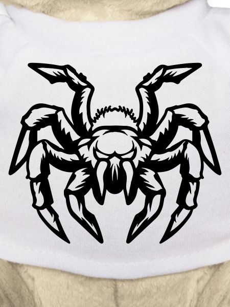 spider