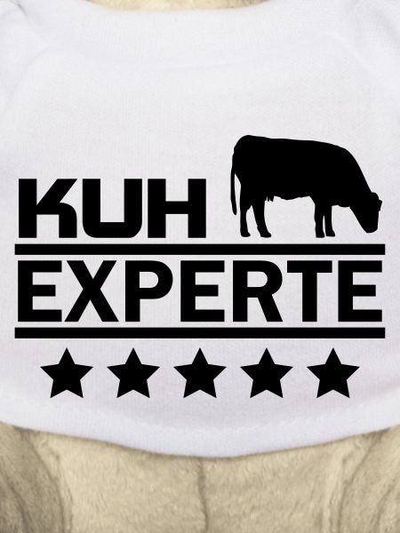 Kuh Experte