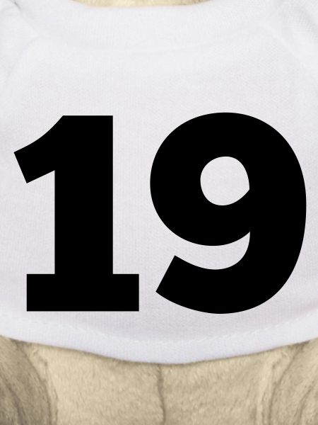 19a