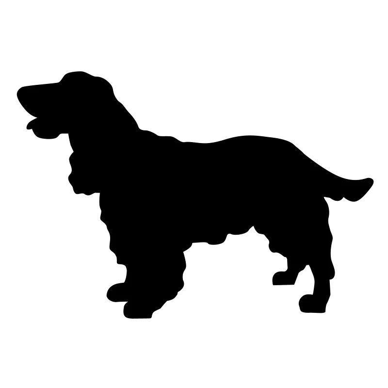Cocker Spaniel dog