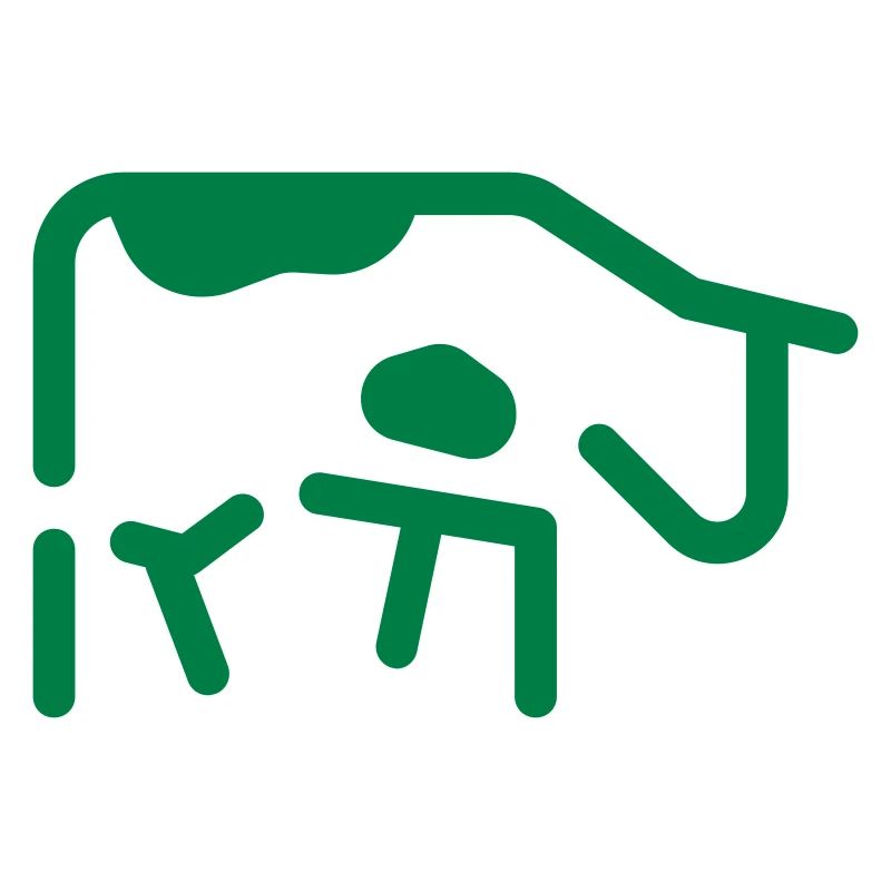 vache