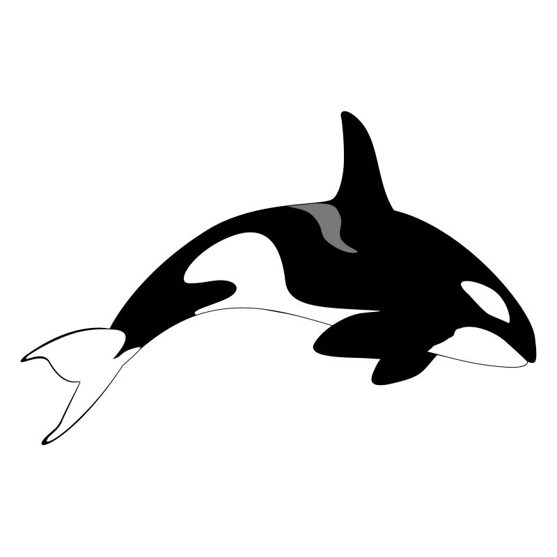 orca