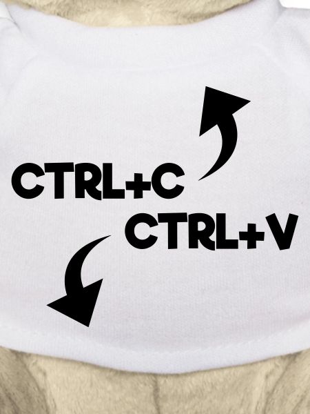 ctrl c ctrl v