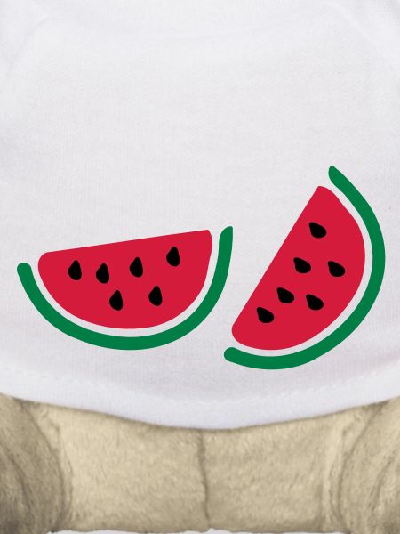 half watermelon_fruits