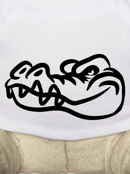 Crocodile drôle mal