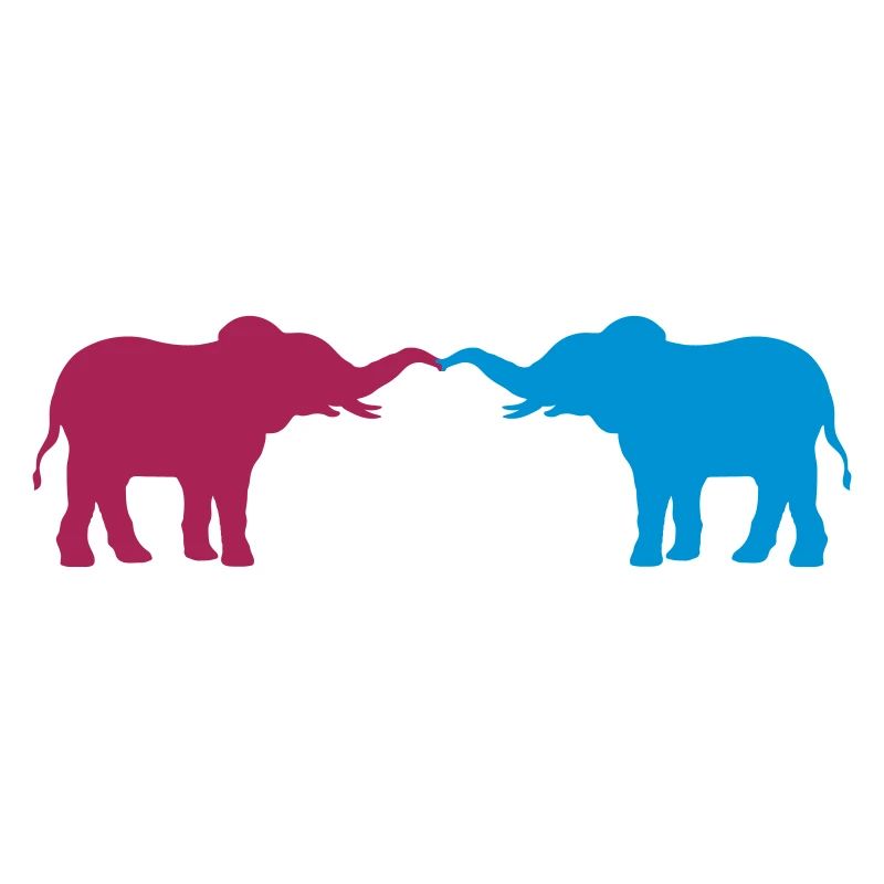 2 éléphants en couple amoureux