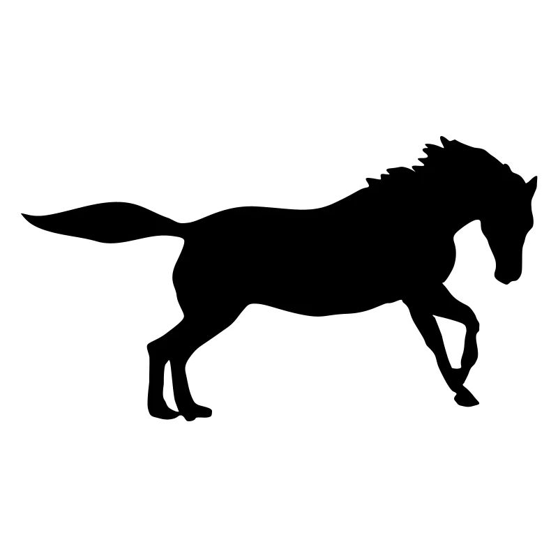 pferd