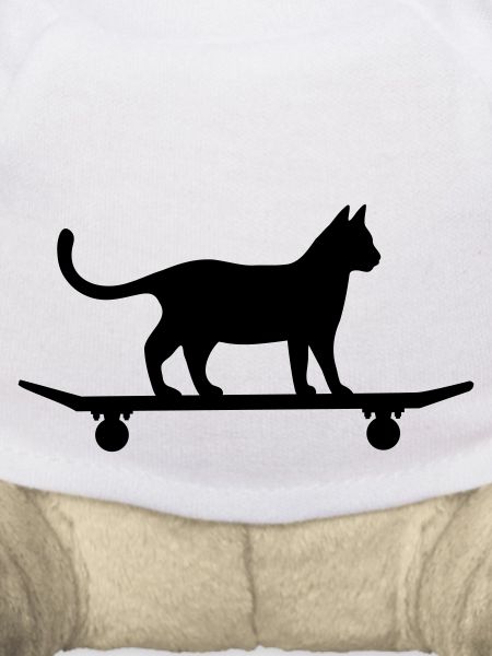 Cat on skateboard